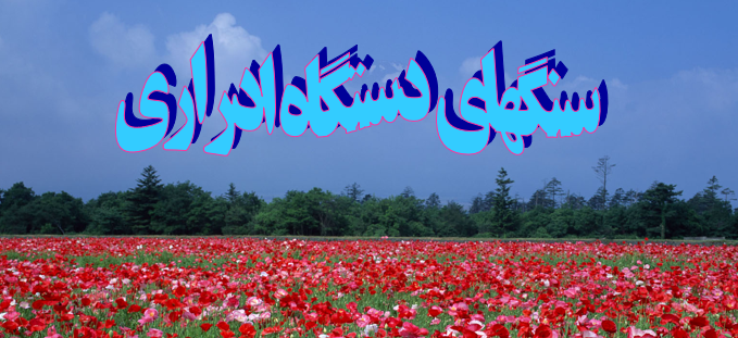 دانلود-پاورپوینت-سنگهای-دستگاه-ادراری